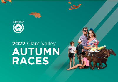 Clare Races Family Fun Day