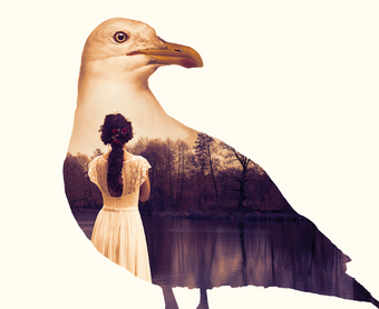 Independent Theatre presents Anton Chekhov's Seagull