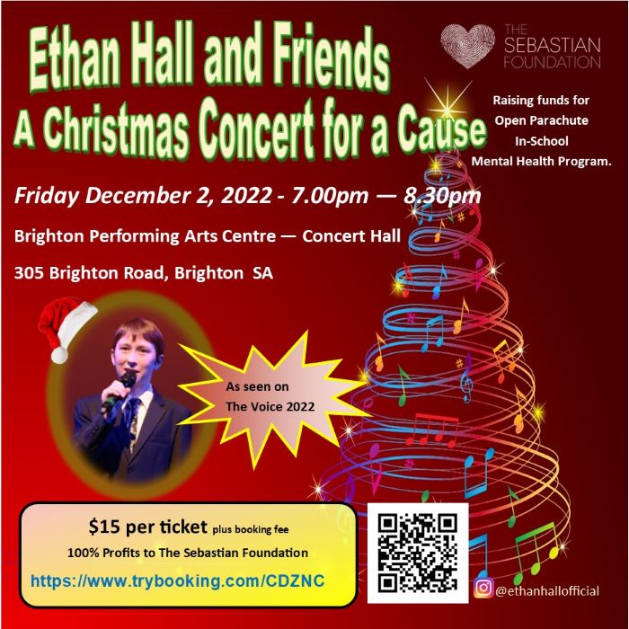 Ethan Hall and Friends - A Christmas Concert for a Cause