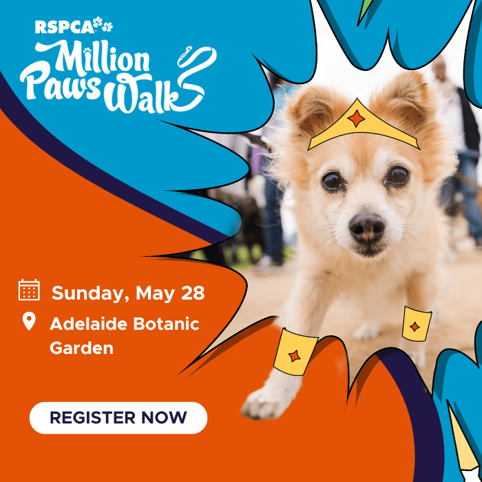 RSPCA Million Paws Walk 2023 - Adelaide Botanic Garden