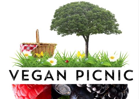 Vegan Picnic!