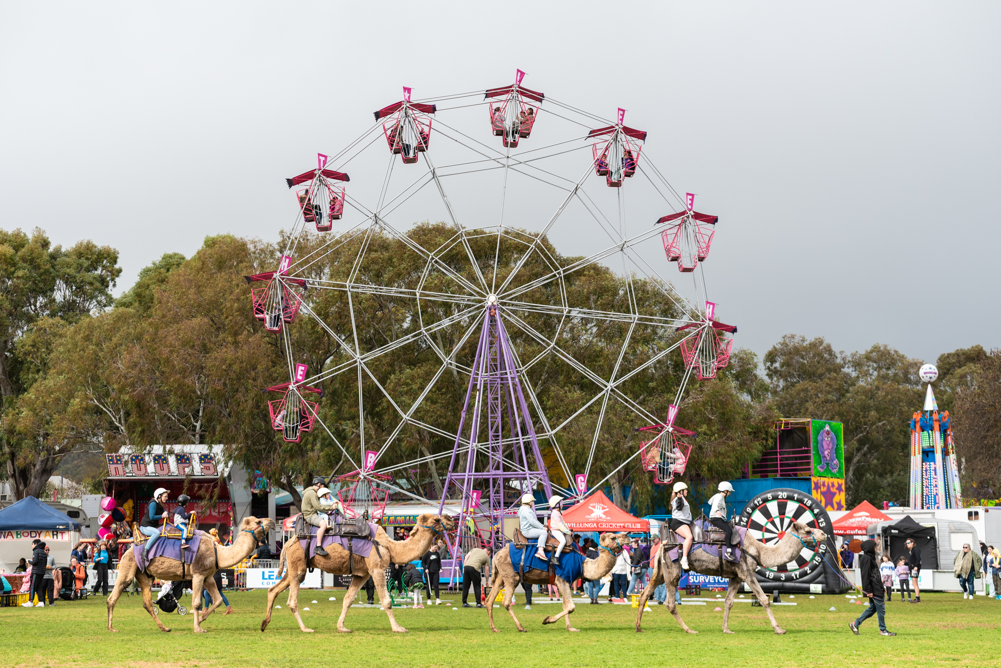 Willunga Almond Blossom Festival