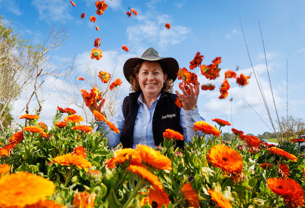 FILL YOUR CUP AT WELLNESS WANDER IN THE ADELAIDE HILLS