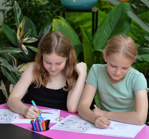 School holiday workshop - colours of a biome