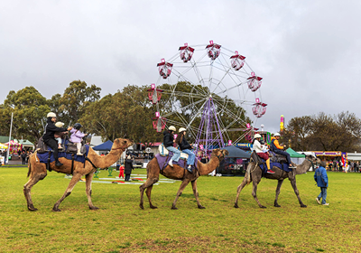 Willunga Almond Blossom Festival 2026